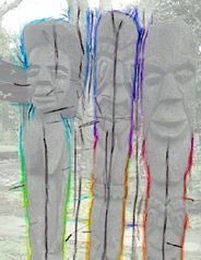 Detected local symmetries (black) and contours (color), overlaid on the photo (figure 7)