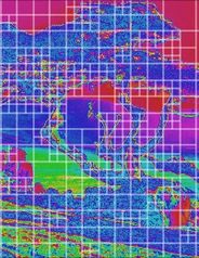 Partition adaptative en 514 tuiles sur une phase dérivée d'une photo d'arbre